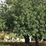 Garden- 2 Bedrooms-2pools-2 Balconies * Tavira